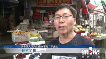 重庆市新闻爆料,聚焦山城最新动态与热点事件 第3张 重庆市新闻爆料,聚焦山城最新动态与热点事件 第3张