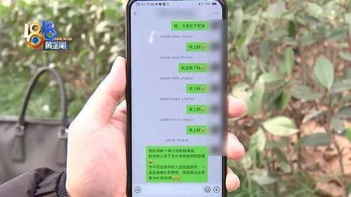 杭州李先生最新爆料,揭秘某神秘事件背后真相 第1张 杭州李先生最新爆料,揭秘某神秘事件背后真相 第1张