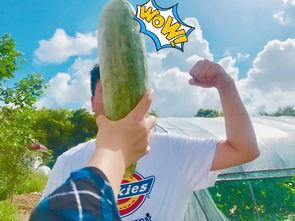 吃娱乐圈的瓜吃到饱,一网打尽明星秘闻,尽享八卦盛宴 第1张 吃娱乐圈的瓜吃到饱,一网打尽明星秘闻,尽享八卦盛宴 第1张