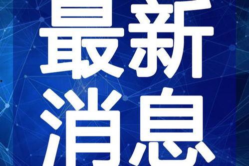 广州刘先生最新爆料视频,揭秘事件背后惊人真相