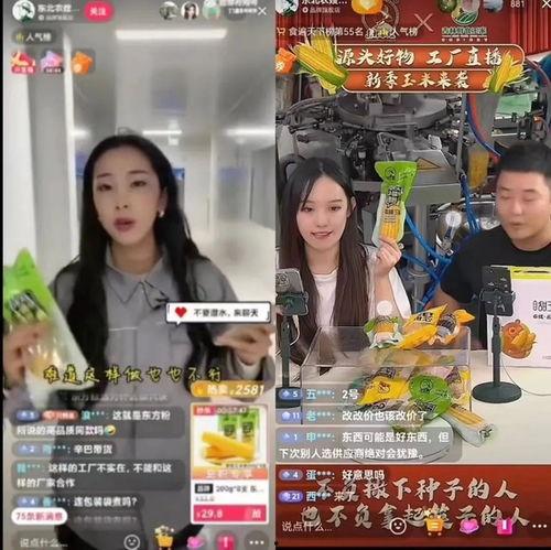 东北农嫂的爆料视频大全,揭秘农村生活真实面貌