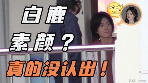 张小寒爆料造谣事件视频,真相与争议的交织
