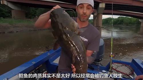 韩国鲶鱼爆料视频大全,揭秘娱乐圈幕后真相 第3张 韩国鲶鱼爆料视频大全,揭秘娱乐圈幕后真相 第3张