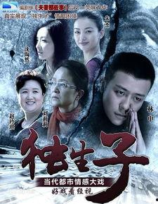 独生子电视剧全集在线观看,揭秘现代家庭情感纠葛与成长历程  第1张