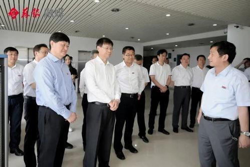 保定超市爆料案件最新进展,案情细节及嫌疑人最新动态揭晓