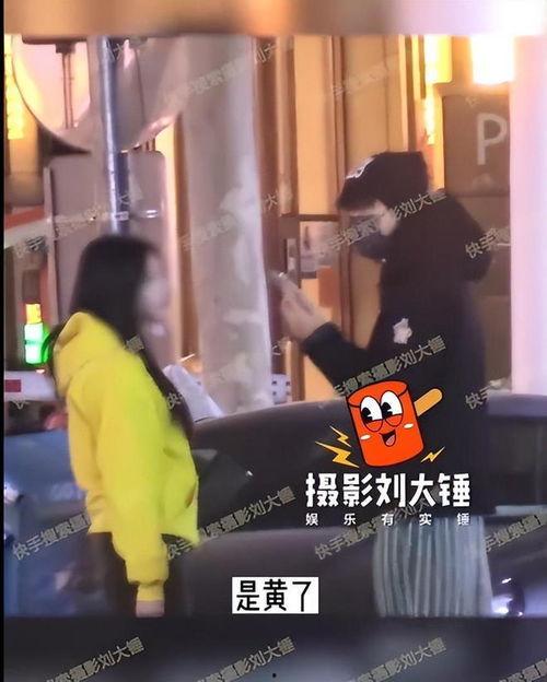 刘大锤爆料十二点半视频,十二点半视频背后的惊人真相  第2张