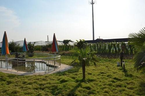 下峪口网红吃瓜事件真相,真相背后的网络狂欢 第3张 下峪口网红吃瓜事件真相,真相背后的网络狂欢 第3张