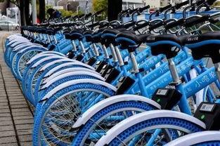 小鸣单车最新爆料,揭秘共享单车行业困境与未来走向”