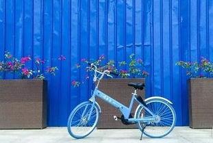 小鸣单车最新爆料,揭秘共享单车行业困境与未来走向” 第2张 小鸣单车最新爆料,揭秘共享单车行业困境与未来走向” 第2张