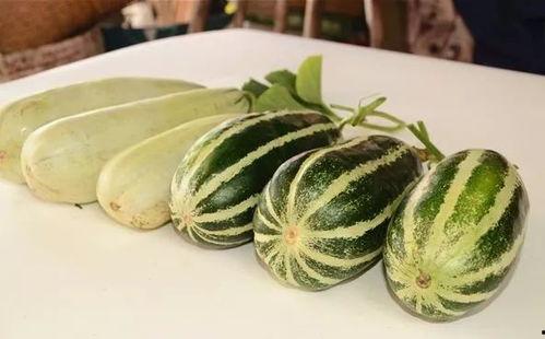 专门吃网红的瓜的网站,揭秘那些被“吃瓜群众”围观的幕后故事