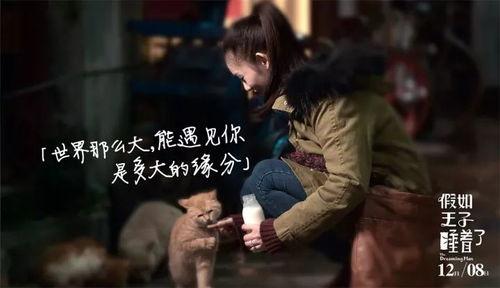 王子电影在线观看,一场视觉与情感的盛宴 第3张 王子电影在线观看,一场视觉与情感的盛宴 第3张