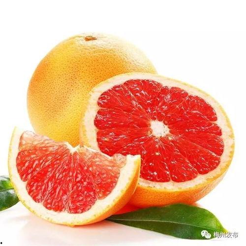 葡萄柚甜蜜爆料视频下载,揭秘葡萄柚甜蜜爆料视频幕后故事 第3张 葡萄柚甜蜜爆料视频下载,揭秘葡萄柚甜蜜爆料视频幕后故事 第3张