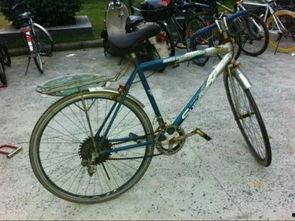 郑州自行车爆料视频最新,揭秘城市交通新现象