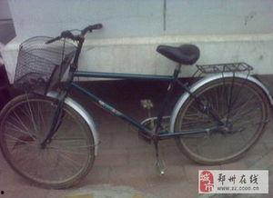 郑州自行车爆料视频最新,揭秘城市交通新现象 第2张 郑州自行车爆料视频最新,揭秘城市交通新现象 第2张