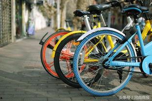 郑州自行车爆料视频最新,揭秘城市交通新现象 第3张 郑州自行车爆料视频最新,揭秘城市交通新现象 第3张