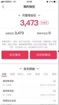 如何爆料短视频平台赚钱,轻松实现财富增长 第3张 如何爆料短视频平台赚钱,轻松实现财富增长 第3张