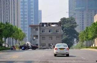 西安长丰园爆料案件最新,揭秘背后惊人真相 第3张 西安长丰园爆料案件最新,揭秘背后惊人真相 第3张