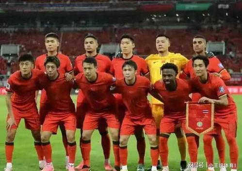 国家队队员爆料新闻最新,备战世界杯背后的故事与挑战
