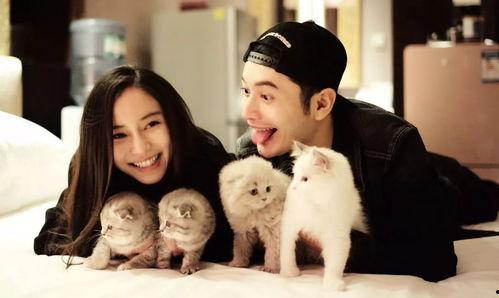 娱乐圈准的爆料有哪些人,揭秘明星背后的真实人生