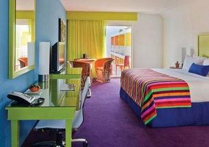 仙人掌旅店在线观看,揭秘仙人掌旅店在线观看背后的故事