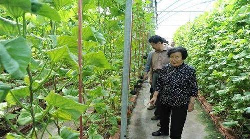 广西夫妻网红吃瓜是谁,背后真相引人关注 第3张 广西夫妻网红吃瓜是谁,背后真相引人关注 第3张