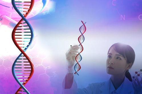 基因世代在线观看,揭秘遗传密码的演变之旅 第2张 基因世代在线观看,揭秘遗传密码的演变之旅 第2张