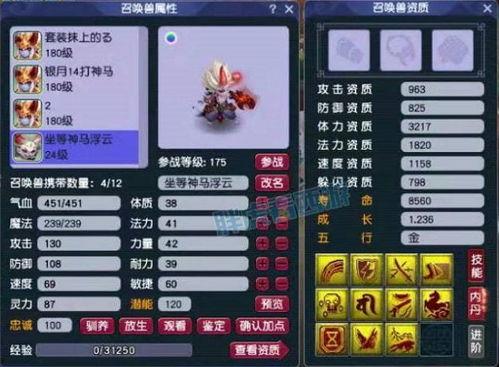 梦幻菠萝爆料怎么做视频,揭秘视频生成全攻略 第2张 梦幻菠萝爆料怎么做视频,揭秘视频生成全攻略 第2张