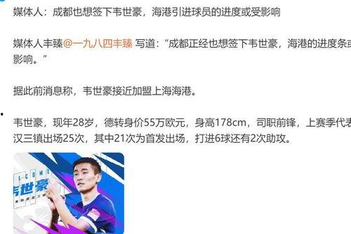 成都媒体爆料的视频,揭秘事件背后真相