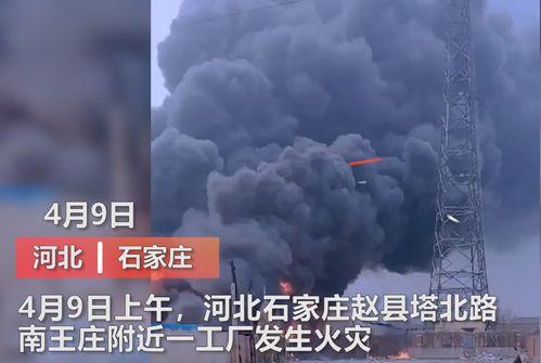 成都媒体爆料的视频,揭秘事件背后真相 第2张 成都媒体爆料的视频,揭秘事件背后真相 第2张