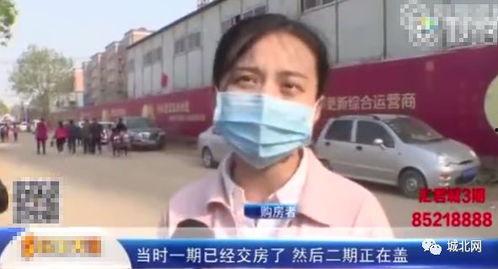 石家庄网友爆料新闻,惊现神秘事件,真相令人震惊! 第2张 石家庄网友爆料新闻,惊现神秘事件,真相令人震惊! 第2张