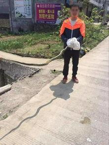 筠连网友爆料最新,揭秘当地最新热点事件! 第3张 筠连网友爆料最新,揭秘当地最新热点事件! 第3张