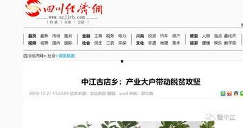 四川发布爆料新闻的网站,揭秘最新爆料新闻背后的故事