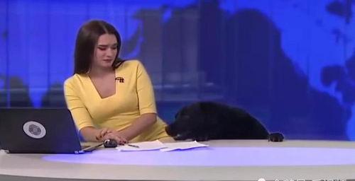 四美最新爆料新闻直播,最新爆料新闻背后的故事 第2张 四美最新爆料新闻直播,最新爆料新闻背后的故事 第2张