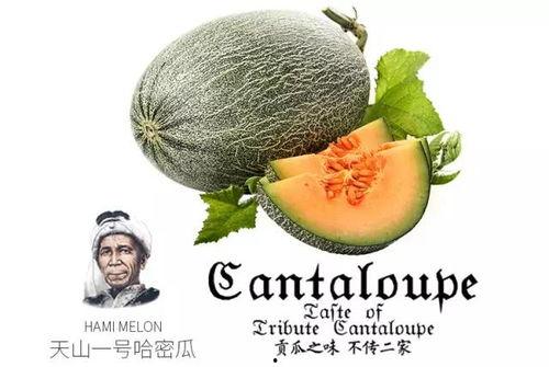 qq吃瓜号推荐免费最新,免费获取最新QQ吃瓜号，独家资讯一手掌握！