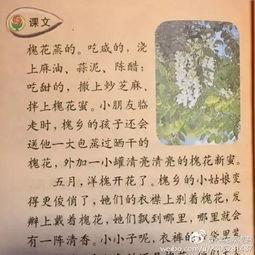 穿书摆烂吃瓜的小说免费阅读 第2张 穿书摆烂吃瓜的小说免费阅读 第2张