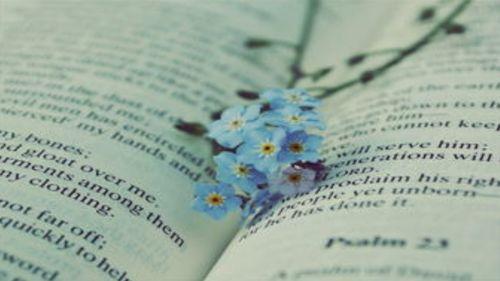 暗恋假装吃瓜小说免费阅读,暗恋的甜蜜伪装