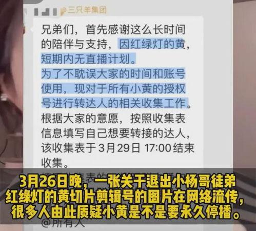 小杨哥和小黄最新爆料是真的吗,真相揭秘，是真是假？
