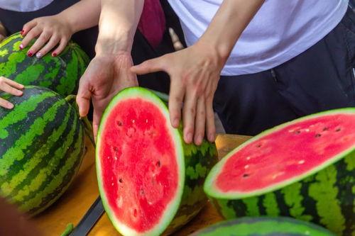 儿童免费吃瓜,免费吃瓜活动，让孩子们甜蜜一夏