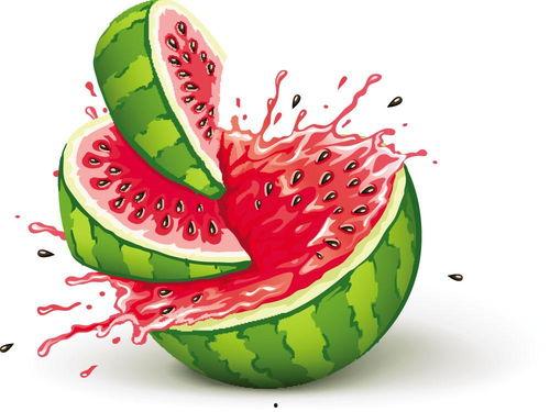 儿童免费吃瓜,免费吃瓜活动,让孩子们甜蜜一夏 第2张 儿童免费吃瓜,免费吃瓜活动,让孩子们甜蜜一夏 第2张