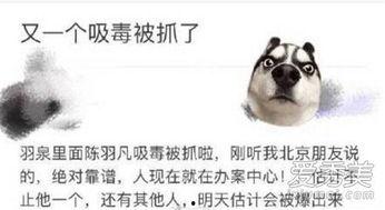 爆料娱乐圈吸毒事件视频,揭秘明星隐秘生活