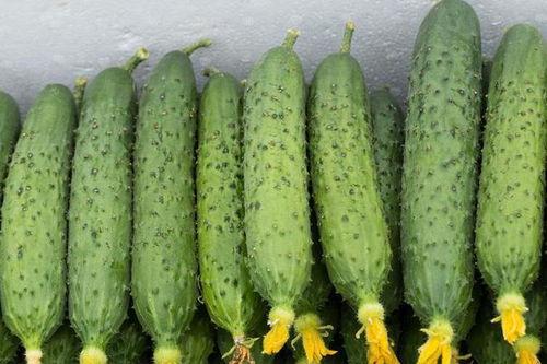 吃瓜qq群网红,揭秘吃瓜QQ群网红背后的故事 第3张 吃瓜qq群网红,揭秘吃瓜QQ群网红背后的故事 第3张