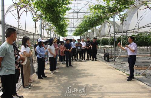 彭山县新闻爆料,揭秘彭山最新爆料事件背后的真相 第2张 彭山县新闻爆料,揭秘彭山最新爆料事件背后的真相 第2张