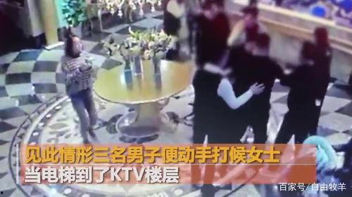 新兴宠物店爆料事件视频,视频揭露惊人内幕 第2张 新兴宠物店爆料事件视频,视频揭露惊人内幕 第2张