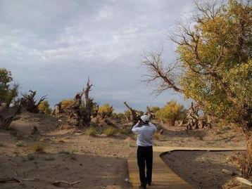 新疆伊吾最新爆料消息,神秘事件引发热议,揭秘背后真相 第2张 新疆伊吾最新爆料消息,神秘事件引发热议,揭秘背后真相 第2张
