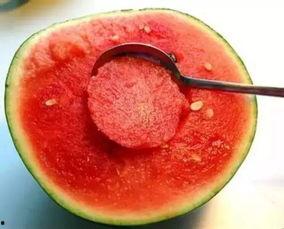 娱乐吃瓜酱花期,揭秘明星幕后故事 第2张 娱乐吃瓜酱花期,揭秘明星幕后故事 第2张