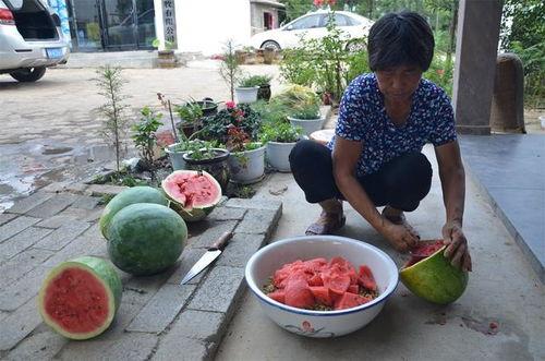娱乐吃瓜酱花期,揭秘明星幕后故事 第3张 娱乐吃瓜酱花期,揭秘明星幕后故事 第3张