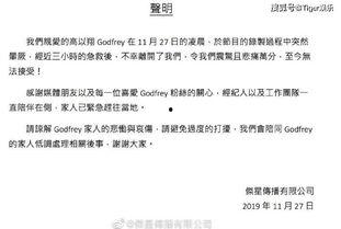 圈内人士爆料高以翔事件,圈内人士揭秘真相背后