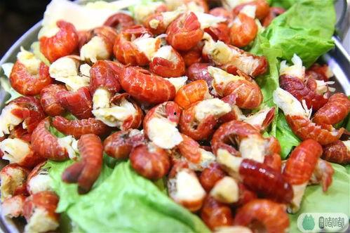 牛蛙名人爆料视频大全集,揭秘娱乐圈幕后真相