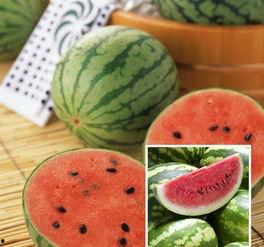 冷一吃瓜千万网红,揭秘千万网红背后的故事