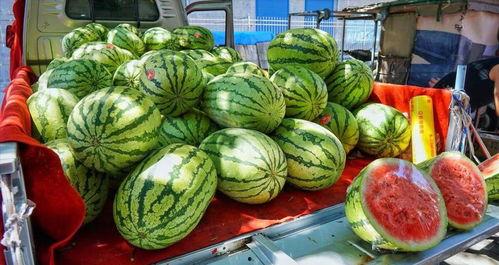 冷一吃瓜千万网红,揭秘千万网红背后的故事 第3张 冷一吃瓜千万网红,揭秘千万网红背后的故事 第3张